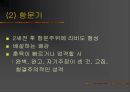 프로이트의 성격이론 24페이지