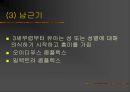 프로이트의 성격이론 25페이지
