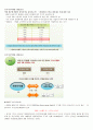 증권투자의 첫걸음(중간고사 2015.10 개정판)(최신) 28페이지