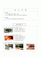 바른생활 교수학습지도안(초등학교1학년, 식사도구사용, 숟가락, 젓가락사용지도) 6페이지