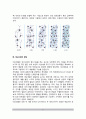 [영아기 뇌의 발달] 영아기의 뇌와 신경계 발달(영아의 두뇌발달) 5페이지