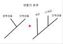 세균의구조 7페이지