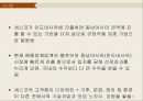 세스코 Cesco 기업분석과 세스코 해외진출 글로벌마케팅 SWOT,STP,4P전략분석및 세스코 향후마케팅 전략제안 PPT 58페이지