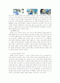 포카리스웨트  동아오츠카  마케팅 SWOT분석, STP전략 4P, 마케팅 믹스, 느낀점 9페이지