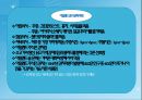 세계음식문화 네덜란드 4페이지