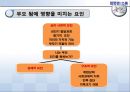 부모 됨의 결정과 준비 그리고 과정 PPT 3페이지