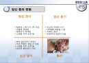 부모 됨의 결정과 준비 그리고 과정 PPT 11페이지