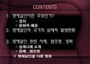 명예살인 2페이지