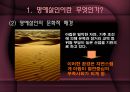 명예살인 4페이지