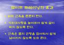 Weight Training의 이론과 활용 3페이지