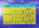 Weight Training의 이론과 활용 4페이지