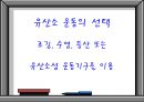 Weight Training의 이론과 활용 33페이지