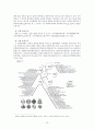 국제연합(UN)  13페이지