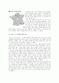 프랑스 내의 무슬림 이민자들과의 마찰 및 프랑스 사회의 반이슬람 정서 ('1989년 히잡사건' 과 '2005년 프랑스 소요사태' 와 관련하여)  16페이지