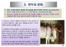세계의 3대 종교문화 22페이지