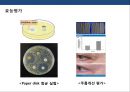 화장품 기술개발 동향과 치료용 피부과 화장품제품 & 병원전용 화장품 8페이지