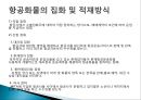 항공화물운송과 AWB 7페이지