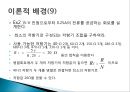 기초基礎전기회로실험 병렬회로설계 11페이지