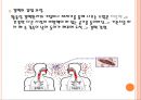 결핵 발표자료ppt 4페이지