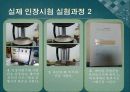 인장印章+실험+결과+보고서 6페이지