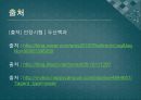 인장印章+실험+결과+보고서 13페이지