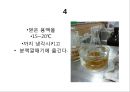 홍차 카페인 추출ppt 13페이지