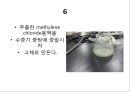 홍차 카페인 추출ppt 15페이지