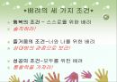 한상복저자 배려 독후감(선택동기, 배려의필요성, 배려의조건, 나의소감, 독서감상문) PPT, 파워포인트 13페이지