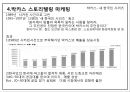 스토리텔링 마케팅(Storytelling Marketing) 10페이지