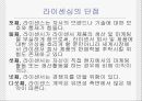 [프랜차이징franchising system ] 라이센싱,  프랜차이즈,  FDI 8페이지