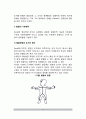 [게젤 성숙이론] 게젤(Gesell)의 성숙이론(발달원리, 교육적 시사점) 4페이지