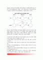 [성격변용] 성격변화의 상황, 성격변용의 분류, 치료적 성격변용 5페이지