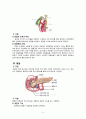 간,담도,췌장구조와기능 5페이지