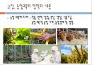 농업교육의개념(농업교육학개론, 농업교육내용, 농업교육분야, 농업교육발전방안)PPT, 파워포인트 4페이지