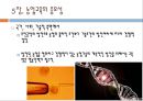 농업교육의개념(농업교육학개론, 농업교육내용, 농업교육분야, 농업교육발전방안)PPT, 파워포인트 13페이지