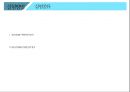 염색染色 실험 예비 ppt 27페이지