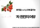 차次 한 잔의 여유, 로즈힙의 세계 1페이지