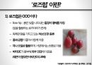 차次 한 잔의 여유, 로즈힙의 세계 4페이지