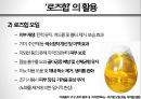 차次 한 잔의 여유, 로즈힙의 세계 13페이지