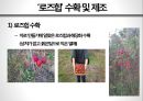 차次 한 잔의 여유, 로즈힙의 세계 18페이지