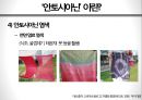 화려한 변신, 안토시아닌antocyanine production 의 효과 10페이지