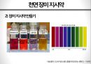 화려한 변신, 안토시아닌antocyanine production 의 효과 20페이지