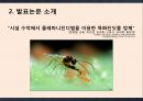 시설 수박手搏)에서 콜레마니진디벌을 활용한 목화진딧물 방제 논문 발표 4페이지