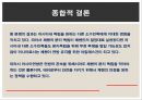 러시아와 체첸간의 분쟁사례 22페이지