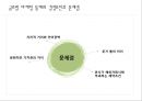 글로벌 마케팅 통제와 사례 13페이지
