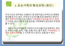조손가족복지 파워포인트 PPT(조손가족실태, 조손가족복지대책, 조손가족문제, 조손가족복지서비스) 4페이지