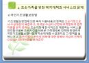 조손가족복지 파워포인트 PPT(조손가족실태, 조손가족복지대책, 조손가족문제, 조손가족복지서비스) 10페이지