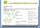 조손가족복지 파워포인트 PPT(조손가족실태, 조손가족복지대책, 조손가족문제, 조손가족복지서비스) 12페이지