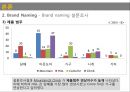 ★ 브랜드 네이밍 - 아웃도어 브랜드 네이밍과 커뮤니케이션 계획 11페이지