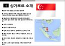 ★ 싱가포르항 (싱가폴항) - 싱가포르 소개, 싱가포르 항만 개요, 터미널 운영, 컨테이너 물동량 처리실적, 성공 요인 3페이지